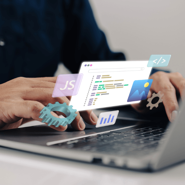 website management & seo